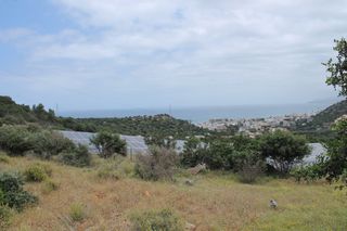 Άλλο 4.000 τ.μ. για πώληση, Ν. Ηρακλείου, Μάλλια-thumb-1