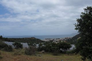 Άλλο 4.000 τ.μ. για πώληση