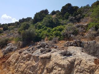 Οικόπεδο 4.600 τ.μ. προς πώληση, Βαθύ Αγίου Νικολάου-thumb-3