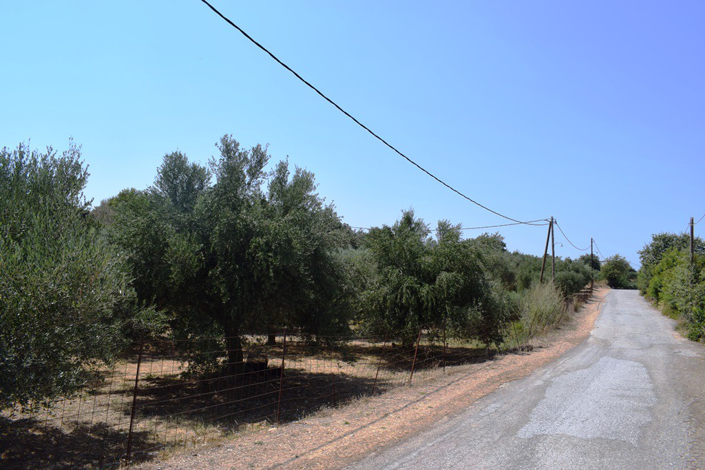 Οικόπεδο 11.500 τ.μ. πρός πώληση, Ν. Ρεθύμνου, Αρκάδι
