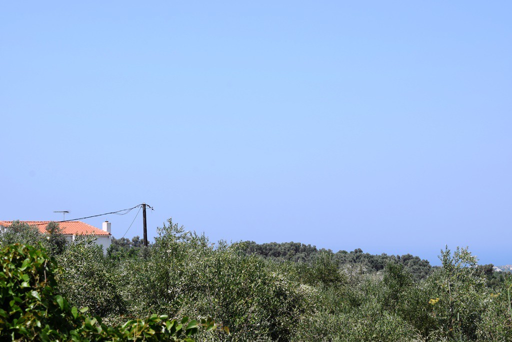 Οικόπεδο 11.500 τ.μ. πρός πώληση, Ν. Ρεθύμνου, Αρκάδι