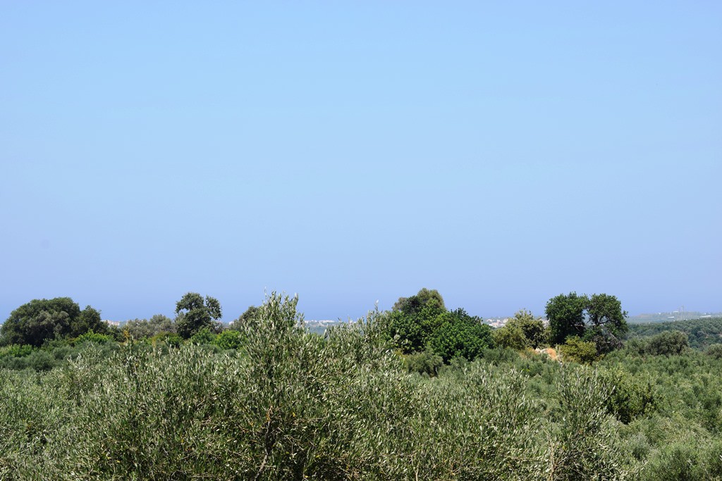Οικόπεδο 11.500 τ.μ. πρός πώληση, Ν. Ρεθύμνου, Αρκάδι