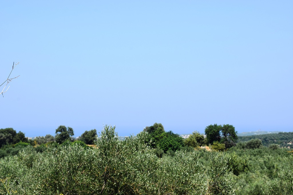 Οικόπεδο 11.500 τ.μ. πρός πώληση, Ν. Ρεθύμνου, Αρκάδι