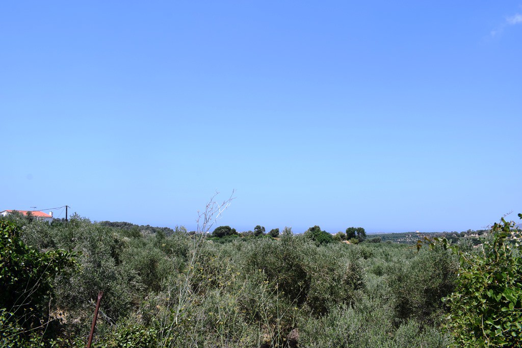 Οικόπεδο 11.500 τ.μ. πρός πώληση, Ν. Ρεθύμνου, Αρκάδι
