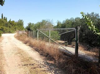 Οικόπεδο 4.600 τ.μ. για πώληση