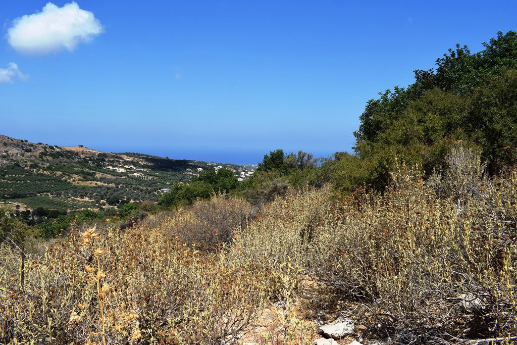 Οικόπεδο 6.705 τ.μ. πρός πώληση, Ν. Ρεθύμνου, Αρκάδι