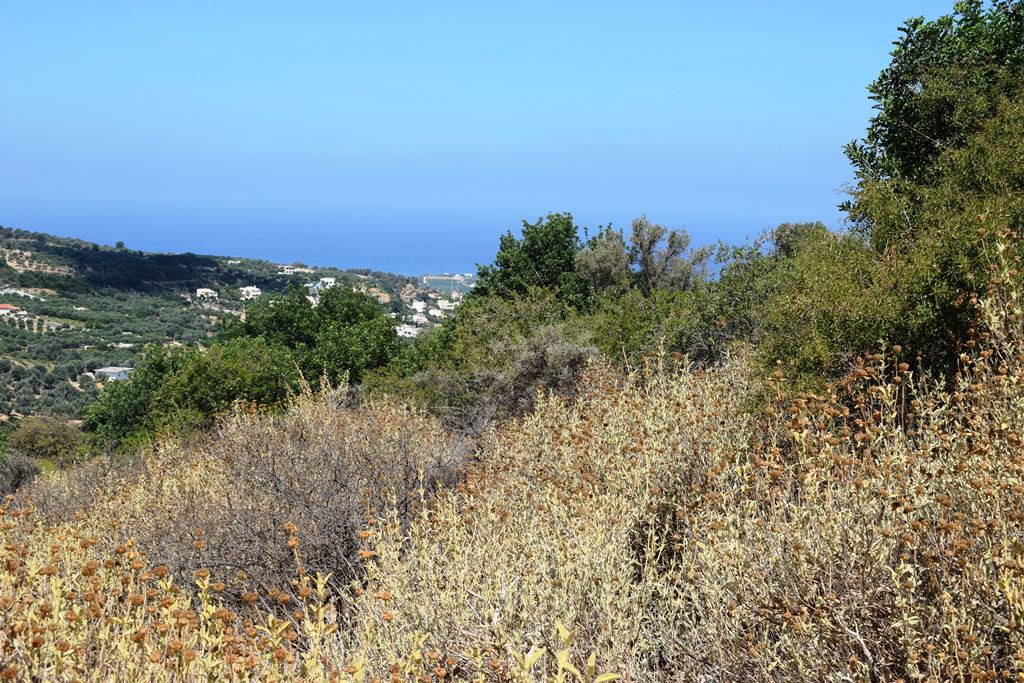 Οικόπεδο 6.705 τ.μ. πρός πώληση, Ν. Ρεθύμνου, Αρκάδι