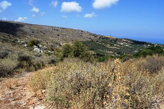 Οικόπεδο 6.705 τ.μ. προς πώληση, Μέση Αρκαδίου-thumb-6