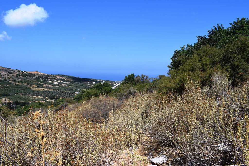 Οικόπεδο 6.705 τ.μ. πρός πώληση, Ν. Ρεθύμνου, Αρκάδι
