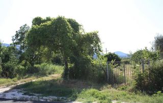 Οικόπεδο 737 τ.μ. προς πώληση, Μακρυάμμος-thumb-6