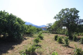 Οικόπεδο 737 τ.μ. προς πώληση, Μακρυάμμος-thumb-2