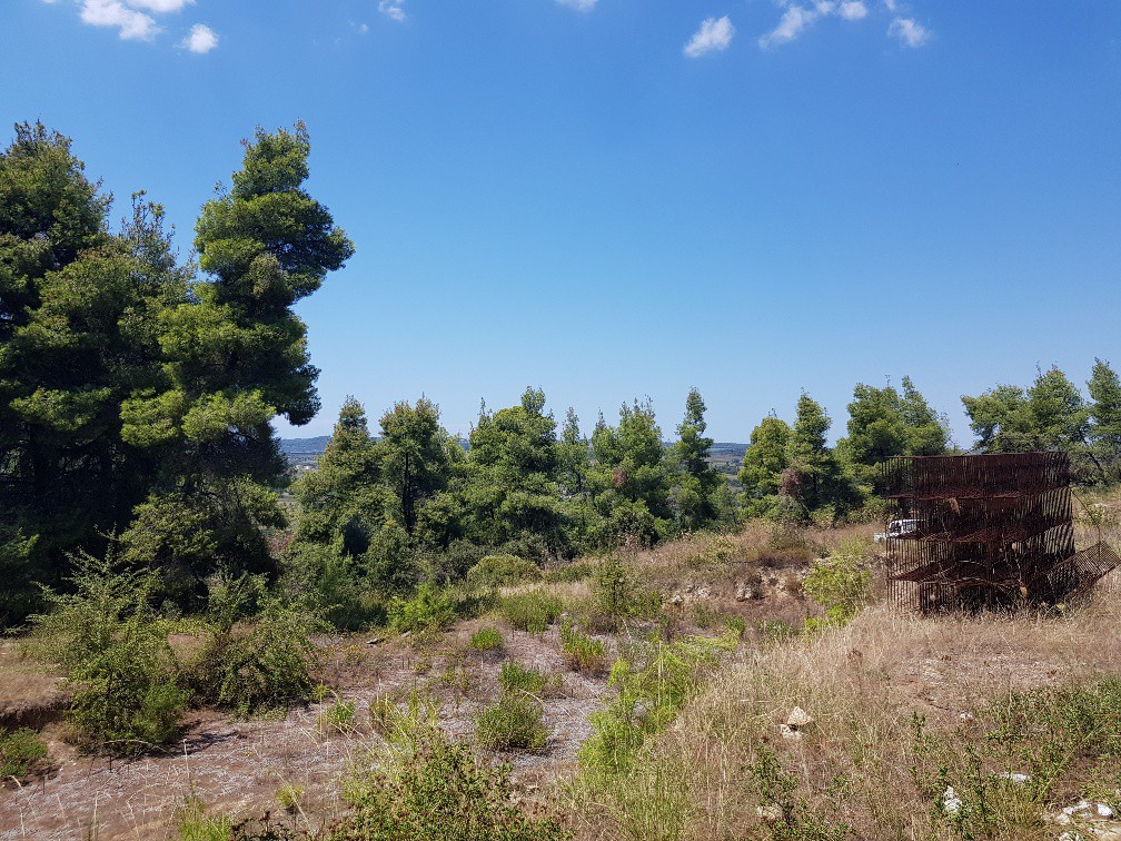 Οικόπεδο 11.000 τ.μ. προς πώληση, Σωλήνα