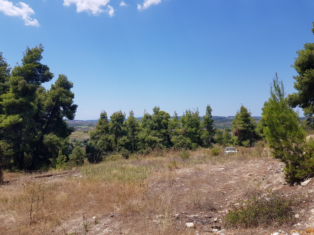 Οικόπεδο 11.000 τ.μ. προς πώληση, Σωλήνα