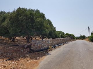 Οικόπεδο 3.000 τ.μ. για πώληση
