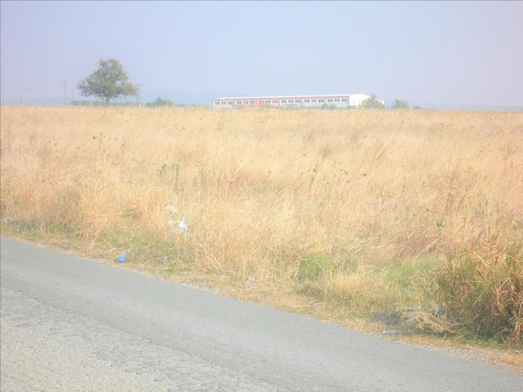 Οικόπεδο 4.098 τ.μ. προς πώληση, Λάκκωμα Καλλικράτειας