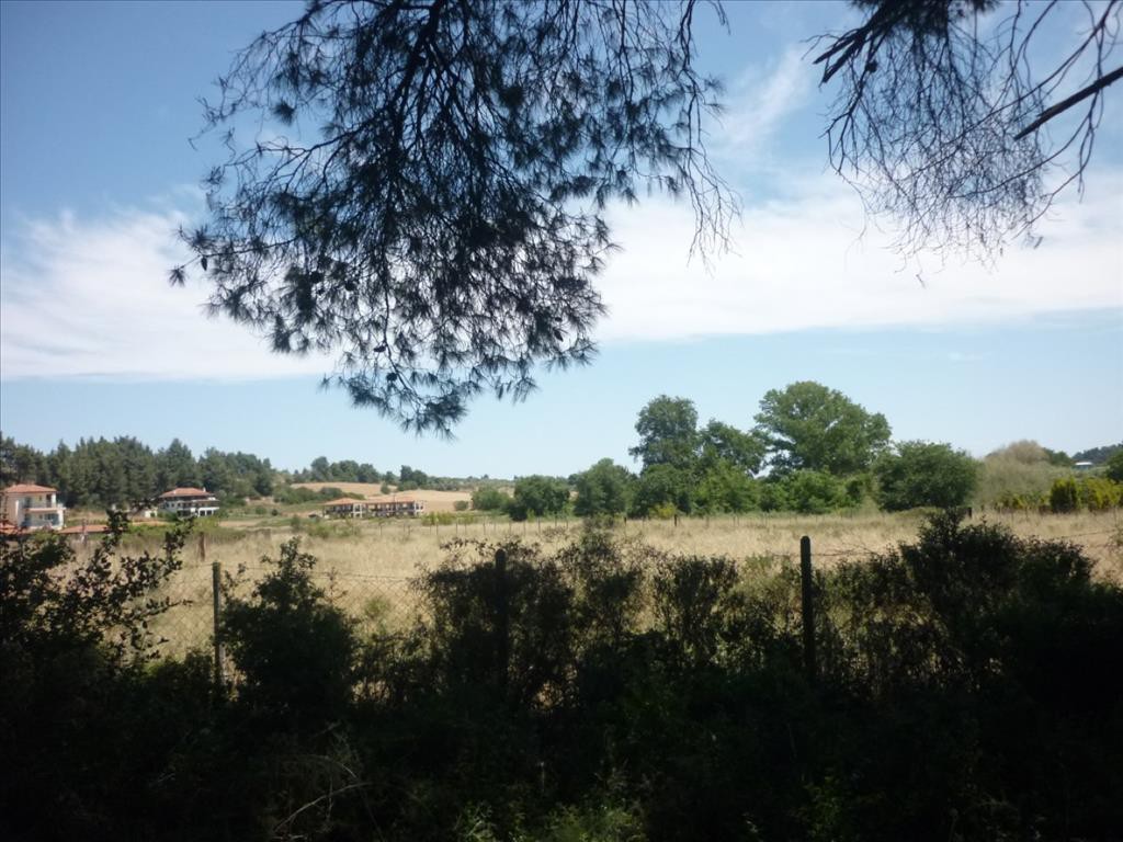 Οικόπεδο 4.248 τ.μ. προς πώληση, Σίβηρη