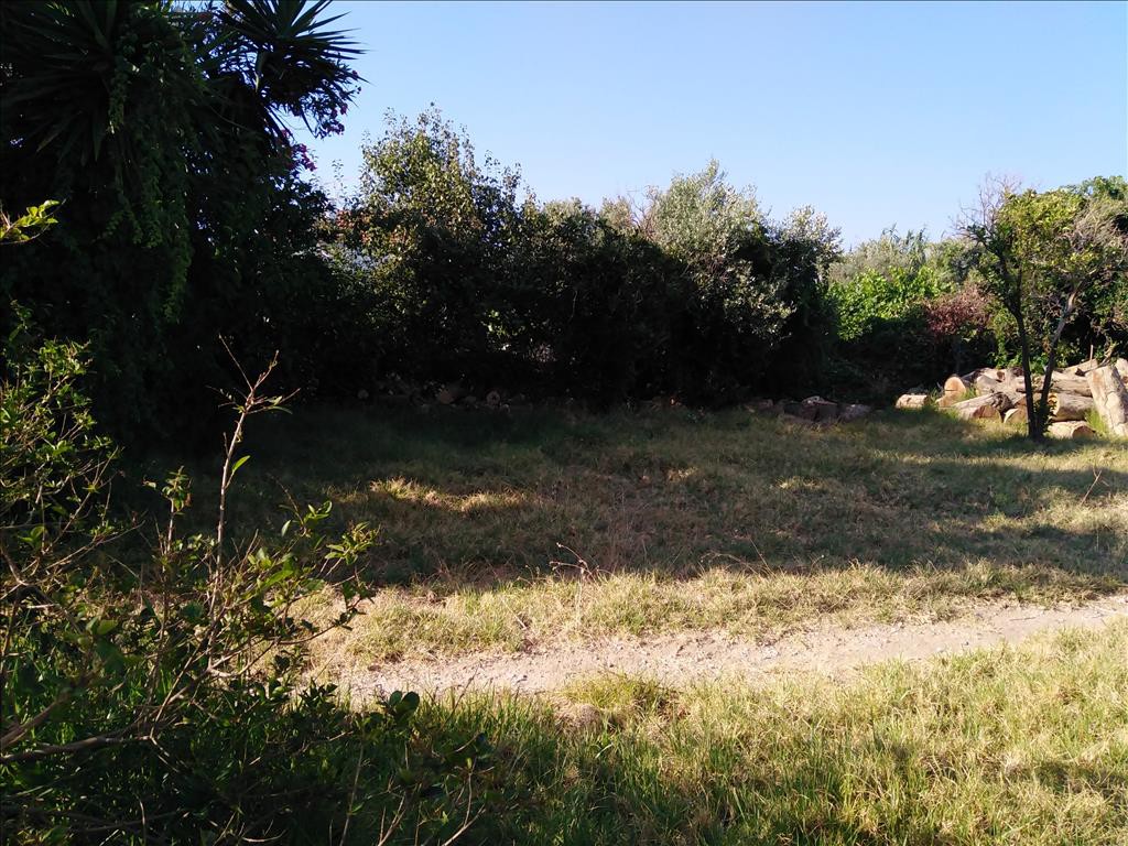 Οικόπεδο 725 τ.μ. προς πώληση, Γεράνι Πλατανιά