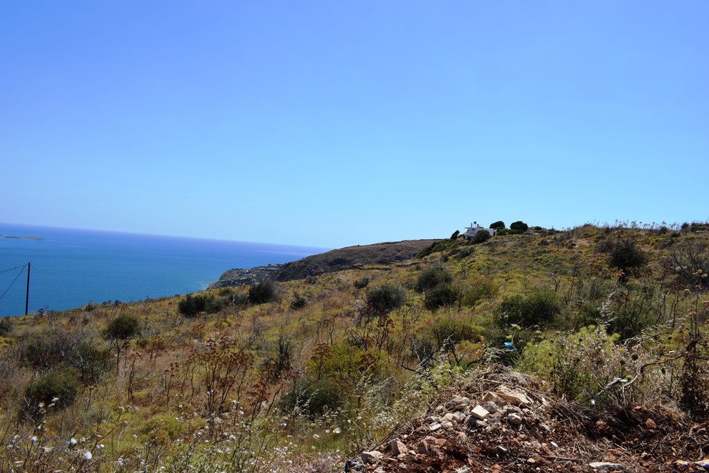 Οικόπεδο 14.364 τ.μ. προς πώληση, Μεγάλα Χωράφια