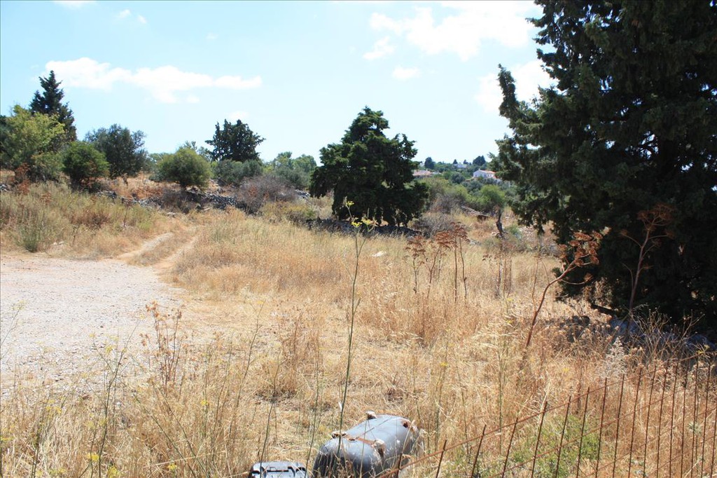 Οικόπεδο 2.400 τ.μ. προς πώληση, Σούρη