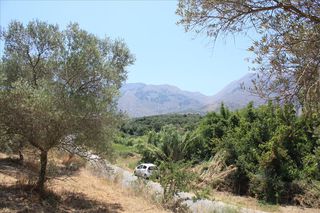 Οικόπεδο 4.647 τ.μ. για πώληση