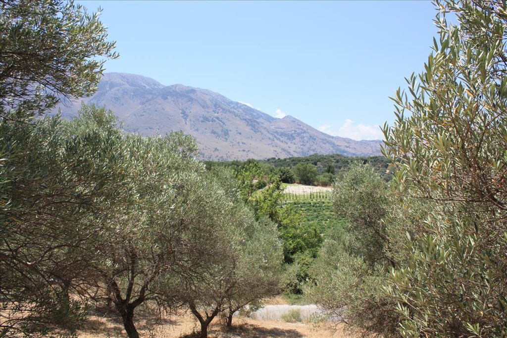Οικόπεδο 4.647 τ.μ. προς πώληση, Κάβαλλος