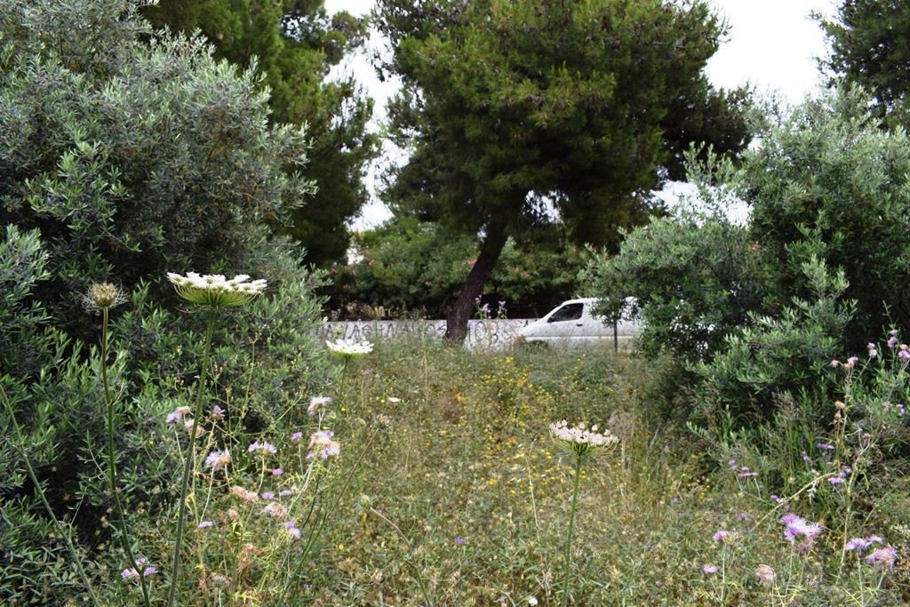 Οικόπεδο 392 τ.μ. προς πώληση, Ταμπακαριά