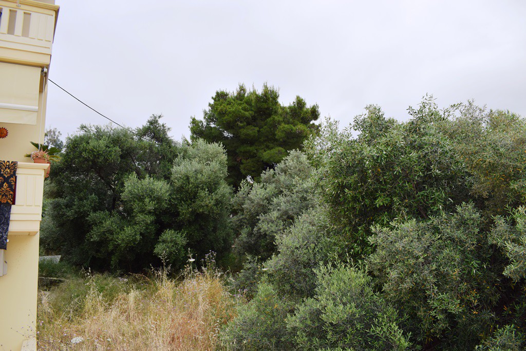 Οικόπεδο 392 τ.μ. προς πώληση, Ταμπακαριά