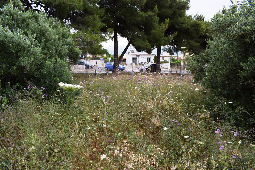 Οικόπεδο 392 τ.μ. προς πώληση, Ταμπακαριά