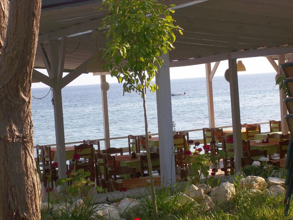 Επαγγελματικό 765 τ.μ. προς πώληση, Νέα Σκιώνη