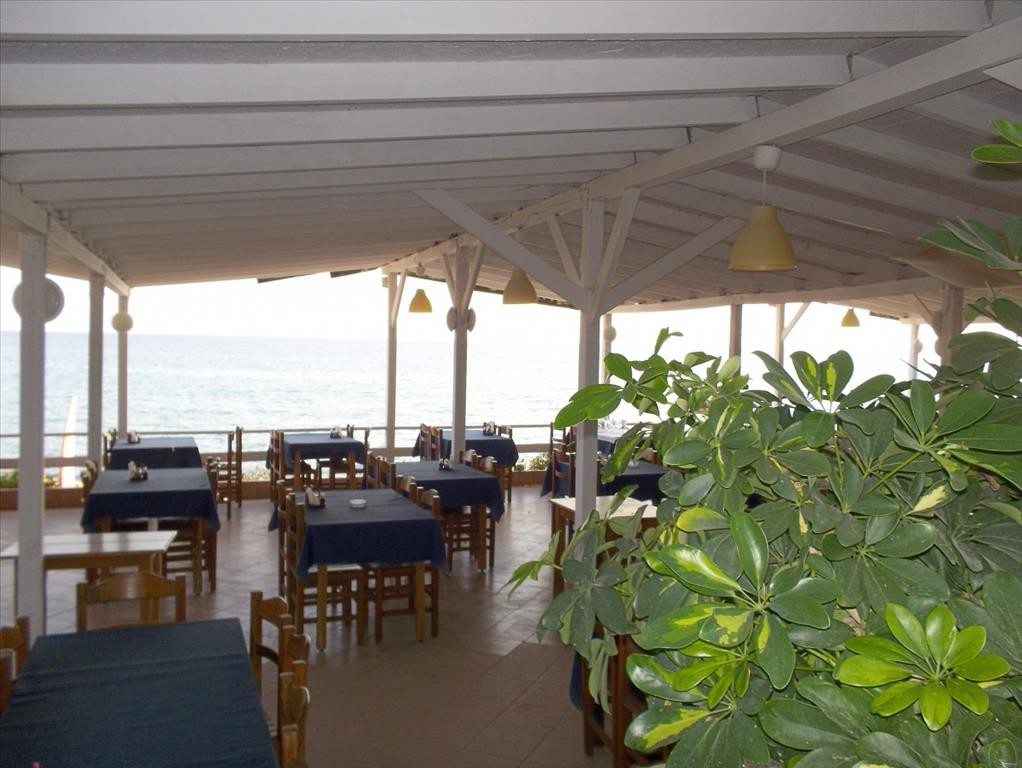 Επαγγελματικό 765 τ.μ. προς πώληση, Νέα Σκιώνη