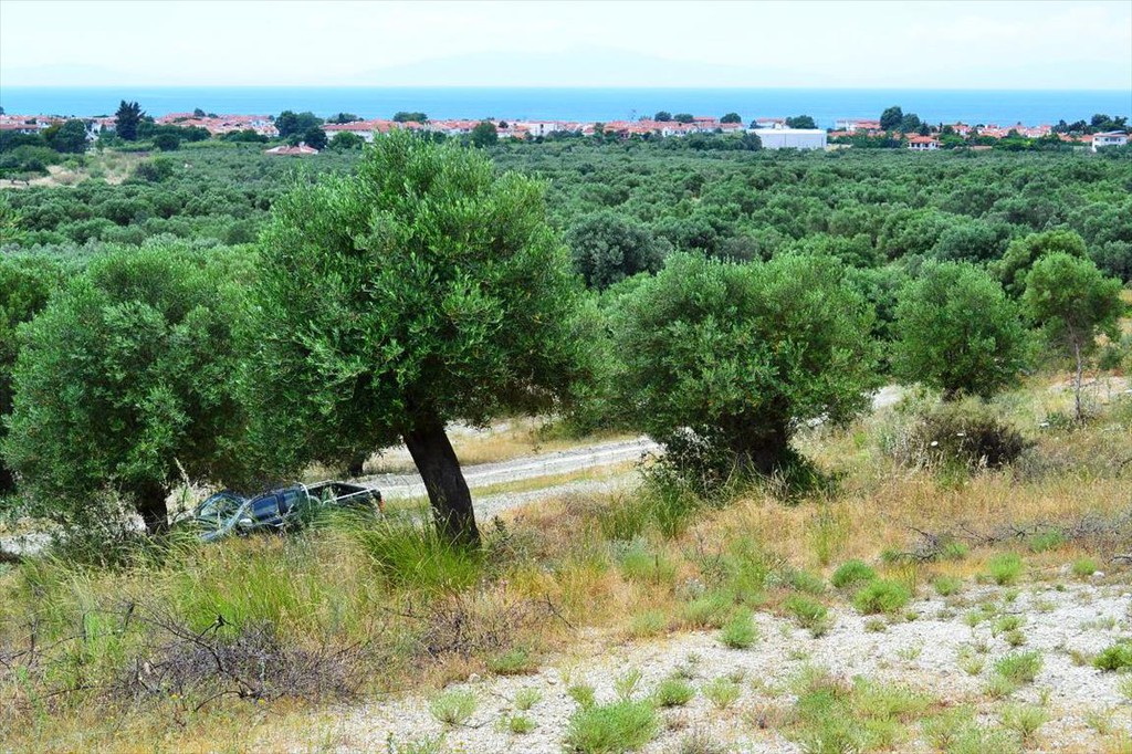 Οικόπεδο 5.175 τ.μ. προς πώληση, Σκάλα Φούρκας