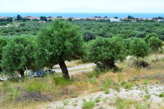 Οικόπεδο 5.175 τ.μ. προς πώληση
