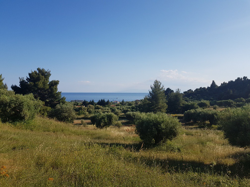 Οικόπεδο 4.500 τ.μ. προς πώληση, Νέα Σκιώνη
