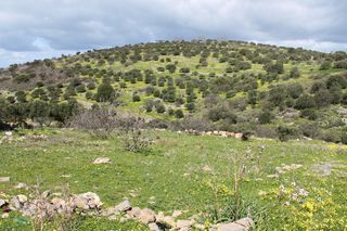 Οικόπεδο 10.800 τ.μ. προς πώληση, Νεάπολη Λασιθίου-thumb-3