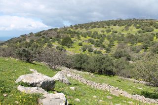 Οικόπεδο 10.800 τ.μ. προς πώληση, Νεάπολη Λασιθίου-thumb-5