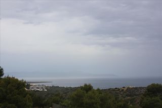 Οικόπεδο 5.900 τ.μ. για πώληση
