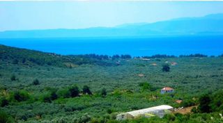 Οικόπεδο 25.000 τ.μ. για πώληση