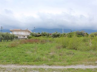 Οικόπεδο 2.281 τ.μ. για πώληση, Ημαθία, Βεργίνα-thumb-1