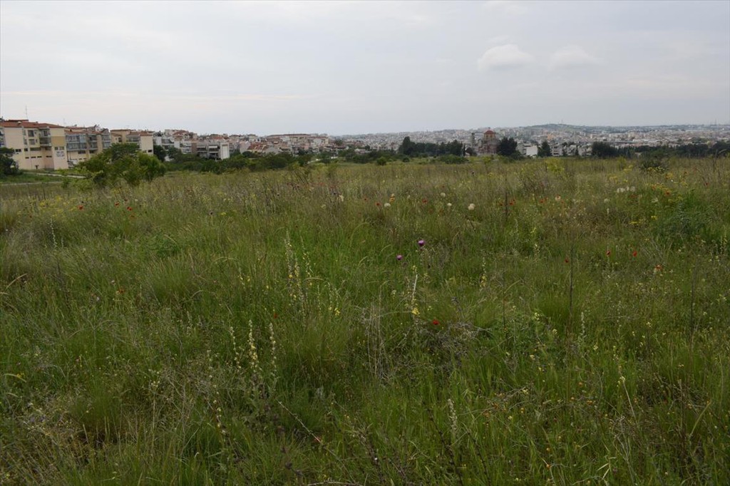 Οικόπεδο 4.960 τ.μ. προς πώληση, Θεσσαλονίκη - Περιφ/Κοί Δήμοι, Πολίχνη
