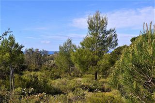 Οικόπεδο 12.000 τ.μ. για πώληση