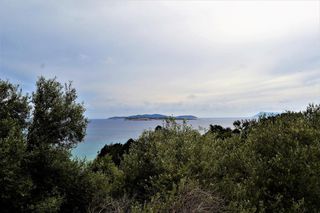 Οικόπεδο 5.000 τ.μ. για πώληση