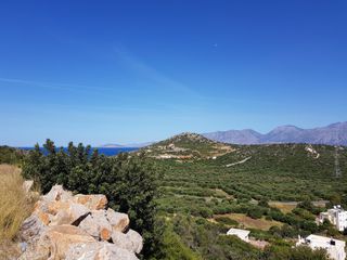 Οικόπεδο 4.000 τ.μ. για πώληση