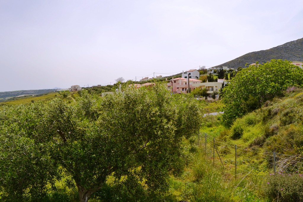 Οικόπεδο 2.900 τ.μ. προς πώληση, Βασιλείες