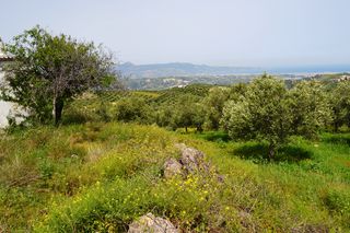 Οικόπεδο 2.900 τ.μ. για πώληση