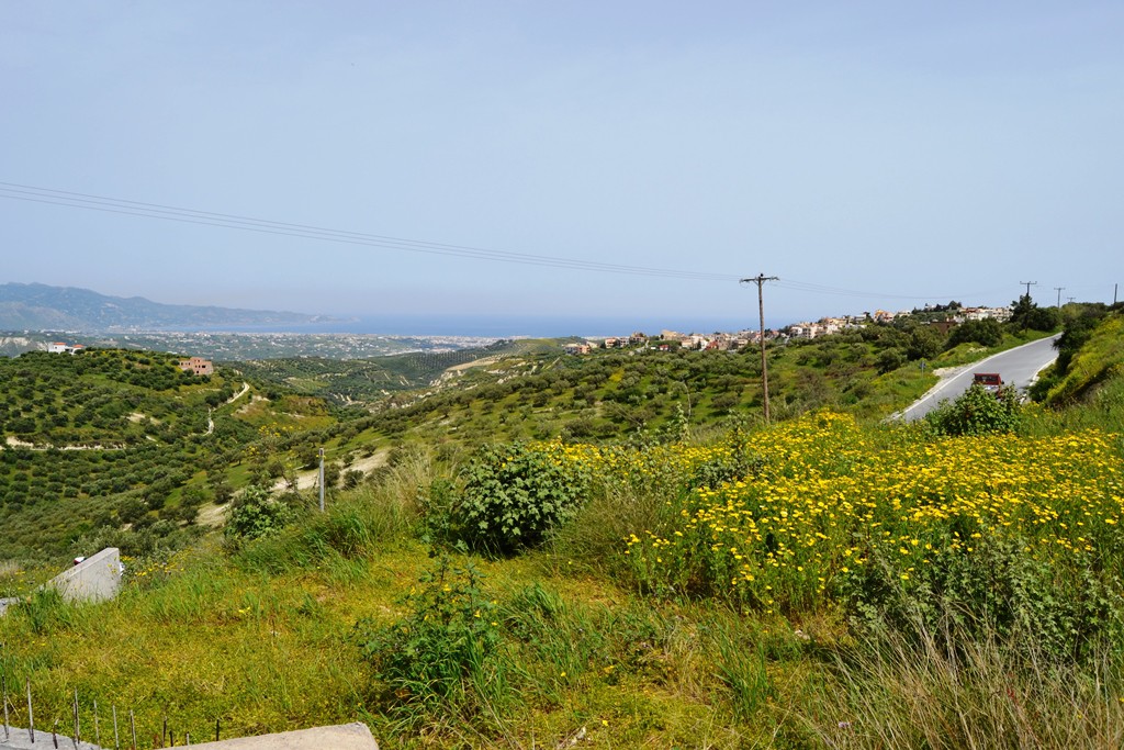 Οικόπεδο 1.000 τ.μ. προς πώληση, Βασιλείες