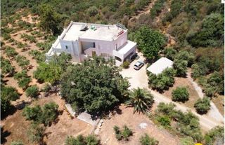 Άλλο 630 τ.μ. για πώληση