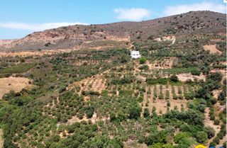 Άλλο 630 τ.μ. για πώληση, Ν. Ρεθύμνου, Γεροπόταμος-thumb-4