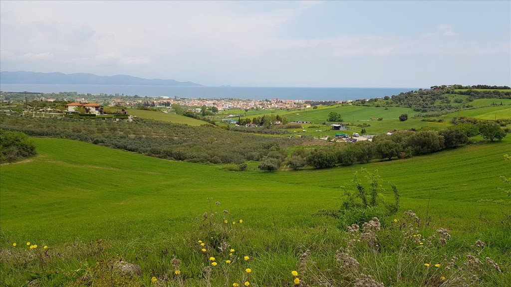 Οικόπεδο 18.000 τ.μ. προς πώληση, Ιερισσός