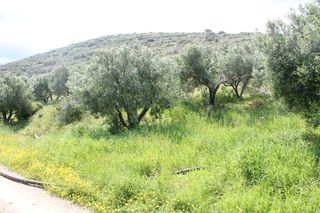 Οικόπεδο 6.890 τ.μ. για πώληση