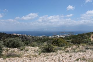 Οικόπεδο 7.000 τ.μ. για πώληση
